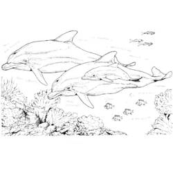 Malvorlage: Delfin (Tiere) #5107 - Kostenlose Malvorlagen zum Ausdrucken