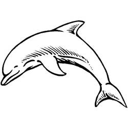 Zeichnungen zum Ausmalen: Delfin - Druckbare Malvorlagen