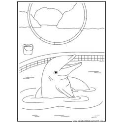 Malvorlage: Delfin (Tiere) #5122 - Kostenlose Malvorlagen zum Ausdrucken