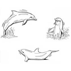 Malvorlage: Delfin (Tiere) #5126 - Kostenlose Malvorlagen zum Ausdrucken