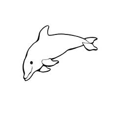 Malvorlage: Delfin (Tiere) #5138 - Kostenlose Malvorlagen zum Ausdrucken