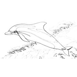 Malvorlage: Delfin (Tiere) #5140 - Kostenlose Malvorlagen zum Ausdrucken