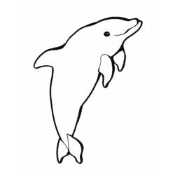 Malvorlage: Delfin (Tiere) #5151 - Kostenlose Malvorlagen zum Ausdrucken