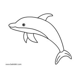 Malvorlage: Delfin (Tiere) #5162 - Kostenlose Malvorlagen zum Ausdrucken
