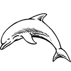 Malvorlage: Delfin (Tiere) #5165 - Kostenlose Malvorlagen zum Ausdrucken