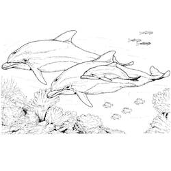 Malvorlage: Delfin (Tiere) #5168 - Kostenlose Malvorlagen zum Ausdrucken