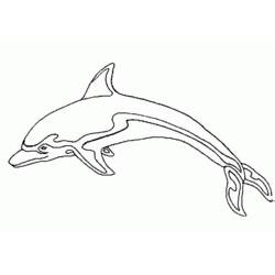 Malvorlage: Delfin (Tiere) #5190 - Kostenlose Malvorlagen zum Ausdrucken