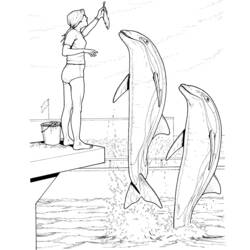 Malvorlage: Delfin (Tiere) #5191 - Kostenlose Malvorlagen zum Ausdrucken