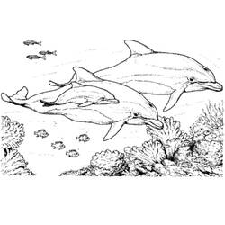 Malvorlage: Delfin (Tiere) #5195 - Kostenlose Malvorlagen zum Ausdrucken