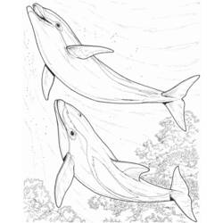 Malvorlage: Delfin (Tiere) #5216 - Kostenlose Malvorlagen zum Ausdrucken