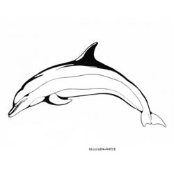 Malvorlage: Delfin (Tiere) #5220 - Kostenlose Malvorlagen zum Ausdrucken