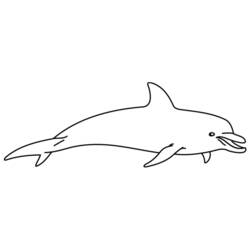 Malvorlage: Delfin (Tiere) #5224 - Kostenlose Malvorlagen zum Ausdrucken