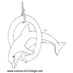 Malvorlage: Delfin (Tiere) #5233 - Kostenlose Malvorlagen zum Ausdrucken
