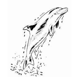 Malvorlage: Delfin (Tiere) #5246 - Kostenlose Malvorlagen zum Ausdrucken