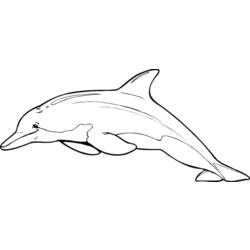 Malvorlage: Delfin (Tiere) #5253 - Kostenlose Malvorlagen zum Ausdrucken