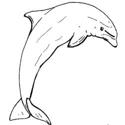 Malvorlage: Delfin (Tiere) #5272 - Kostenlose Malvorlagen zum Ausdrucken