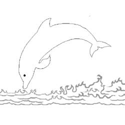 Malvorlage: Delfin (Tiere) #5278 - Kostenlose Malvorlagen zum Ausdrucken