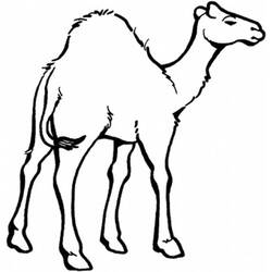 Malvorlage: Dromedar (Tiere) #5935 - Kostenlose Malvorlagen zum Ausdrucken