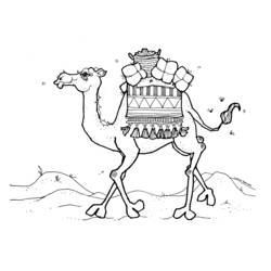 Malvorlage: Dromedar (Tiere) #5947 - Kostenlose Malvorlagen zum Ausdrucken