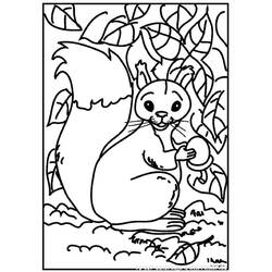 Malvorlage: Eichhörnchen (Tiere) #6100 - Kostenlose Malvorlagen zum Ausdrucken