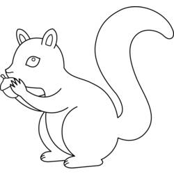 Malvorlage: Eichhörnchen (Tiere) #6119 - Kostenlose Malvorlagen zum Ausdrucken