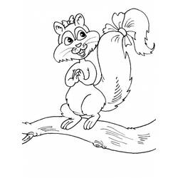 Malvorlage: Eichhörnchen (Tiere) #6125 - Kostenlose Malvorlagen zum Ausdrucken