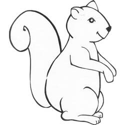 Malvorlage: Eichhörnchen (Tiere) #6139 - Kostenlose Malvorlagen zum Ausdrucken