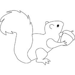 Malvorlage: Eichhörnchen (Tiere) #6157 - Kostenlose Malvorlagen zum Ausdrucken