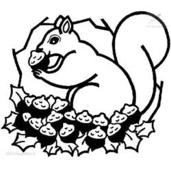 Malvorlage: Eichhörnchen (Tiere) #6158 - Kostenlose Malvorlagen zum Ausdrucken