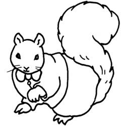 Malvorlage: Eichhörnchen (Tiere) #6177 - Kostenlose Malvorlagen zum Ausdrucken