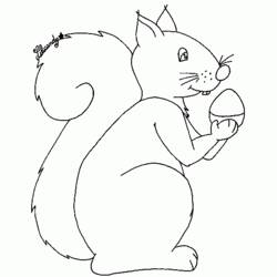 Malvorlage: Eichhörnchen (Tiere) #6183 - Kostenlose Malvorlagen zum Ausdrucken