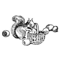 Malvorlage: Eichhörnchen (Tiere) #6193 - Kostenlose Malvorlagen zum Ausdrucken