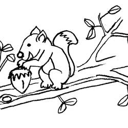 Malvorlage: Eichhörnchen (Tiere) #6194 - Kostenlose Malvorlagen zum Ausdrucken