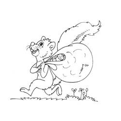 Malvorlage: Eichhörnchen (Tiere) #6198 - Kostenlose Malvorlagen zum Ausdrucken