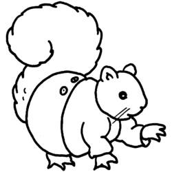 Malvorlage: Eichhörnchen (Tiere) #6234 - Kostenlose Malvorlagen zum Ausdrucken