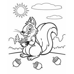 Malvorlage: Eichhörnchen (Tiere) #6239 - Kostenlose Malvorlagen zum Ausdrucken