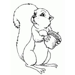 Malvorlage: Eichhörnchen (Tiere) #6242 - Kostenlose Malvorlagen zum Ausdrucken