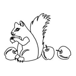 Malvorlage: Eichhörnchen (Tiere) #6255 - Kostenlose Malvorlagen zum Ausdrucken