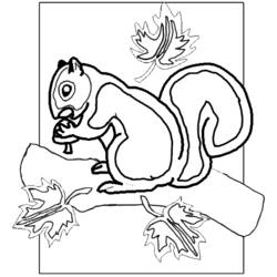 Malvorlage: Eichhörnchen (Tiere) #6278 - Kostenlose Malvorlagen zum Ausdrucken