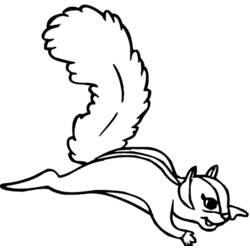 Malvorlage: Eichhörnchen (Tiere) #6279 - Kostenlose Malvorlagen zum Ausdrucken