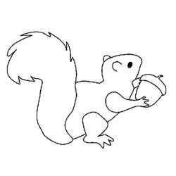 Malvorlage: Eichhörnchen (Tiere) #6281 - Kostenlose Malvorlagen zum Ausdrucken