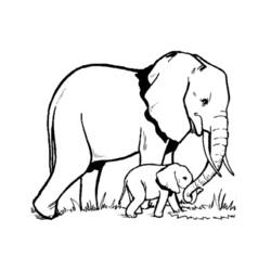 Malvorlage: Elefant (Tiere) #6300 - Kostenlose Malvorlagen zum Ausdrucken