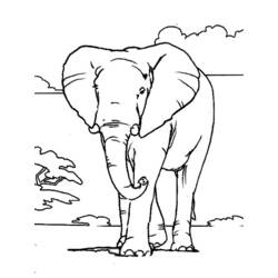 Malvorlage: Elefant (Tiere) #6301 - Kostenlose Malvorlagen zum Ausdrucken