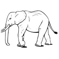 Malvorlage: Elefant (Tiere) #6310 - Kostenlose Malvorlagen zum Ausdrucken