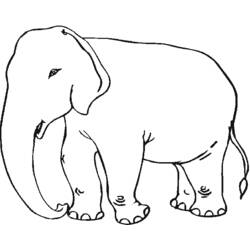 Malvorlage: Elefant (Tiere) #6342 - Kostenlose Malvorlagen zum Ausdrucken