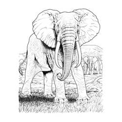 Malvorlage: Elefant (Tiere) #6395 - Kostenlose Malvorlagen zum Ausdrucken