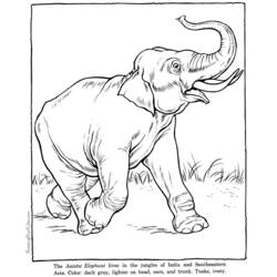 Malvorlage: Elefant (Tiere) #6418 - Kostenlose Malvorlagen zum Ausdrucken