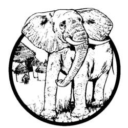 Malvorlage: Elefant (Tiere) #6485 - Kostenlose Malvorlagen zum Ausdrucken