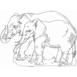 Malvorlage: Elefant (Tiere) #6486 - Kostenlose Malvorlagen zum Ausdrucken