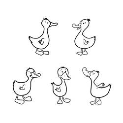 Malvorlage: Ente (Tiere) #1446 - Kostenlose Malvorlagen zum Ausdrucken